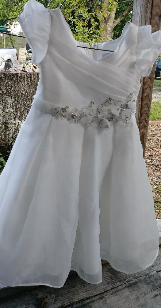 Disney Fairytale Flower girl Dress